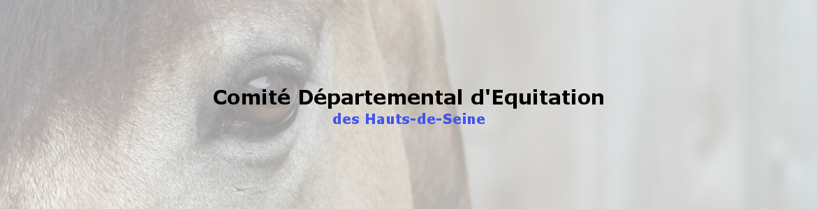 Comité Départemental d'Equitation